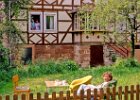 Im Garten Birkenstraße 2