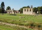 Rundgang durch den Glastonbury Abbey Park : #Anlässe, #Aufnahmeorte, #Kategorien, Cornwall 2006, Europa, Glastonbury, Großbritannien, Somerset, URL, Urlaube