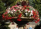 Royal Victoria Park in Bath : #Anlässe, #Aufnahmeorte, #Kategorien, Bath, Cornwall 2006, Europa, Großbritannien, Somerset, URL, Urlaube