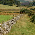 Cornwall 0095